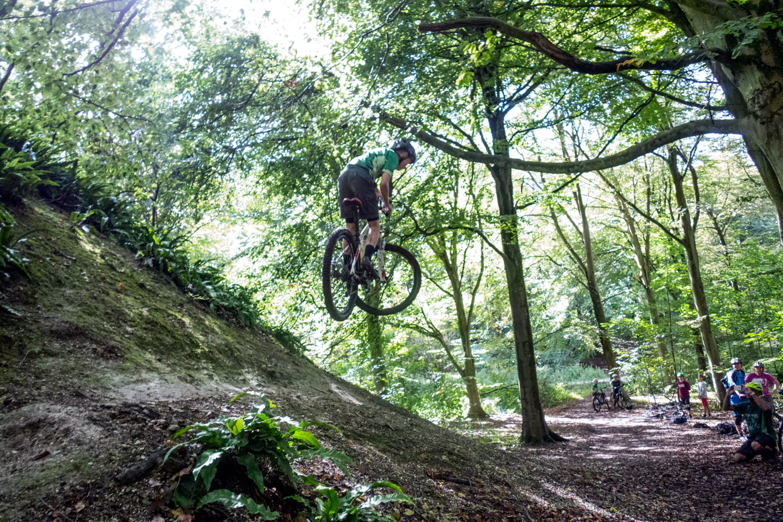 friston forest mtb